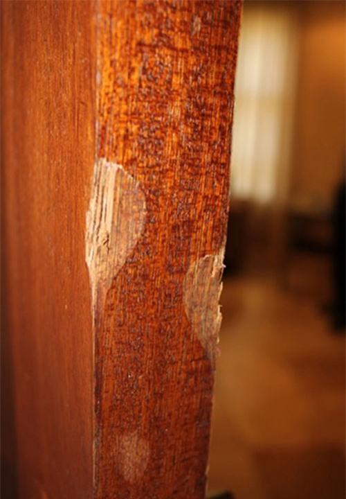 hien-truong-dam-mau-noi-pistorius-ban-chet-ban-gai-9