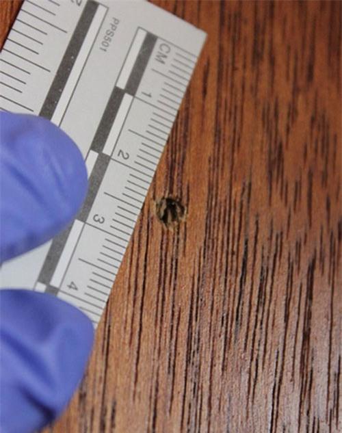 hien-truong-dam-mau-noi-pistorius-ban-chet-ban-gai-7