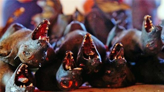 Những con dơi ngoác miệng đầy răng nhọn