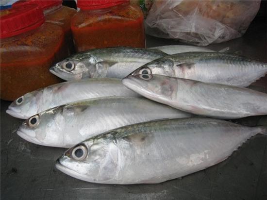 Nếu chọn được cá tươi ngon, đây sẽ là nguồn dinh dưỡng rất tốt cho cơ thể. Ảnh: Pucasignature.