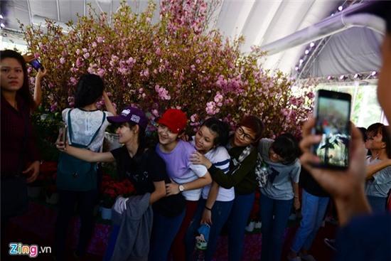 Hoa anh dao Sai Gon uop lanh trong nha kinh hinh anh 11