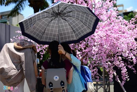 Hoa anh dao Sai Gon uop lanh trong nha kinh hinh anh 15