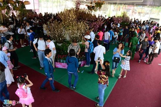 Hoa anh dao Sai Gon uop lanh trong nha kinh hinh anh 2