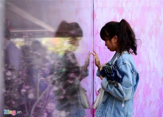 Hoa anh dao Sai Gon uop lanh trong nha kinh hinh anh 4