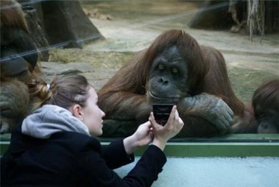 hinh anh "doc" chi co o nuoc nguoi ta hinh anh 11