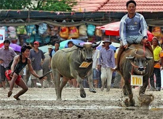 hinh anh "doc" chi co o nuoc nguoi ta hinh anh 12