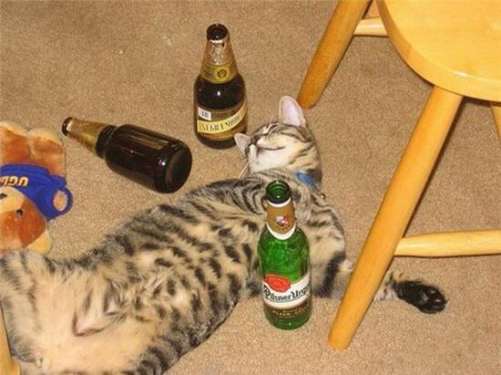 hinh anh "doc" chi co o nuoc nguoi ta hinh anh 15