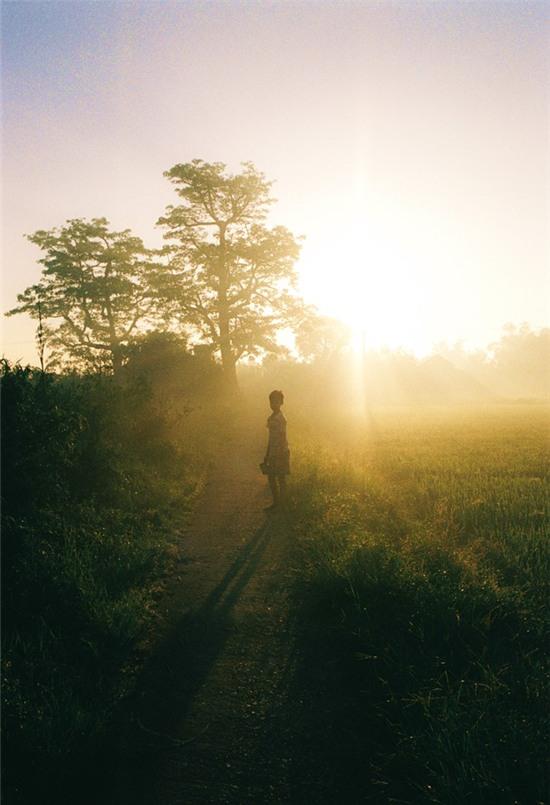 Que lua Viet Nam dep la trong suong som hinh anh 14