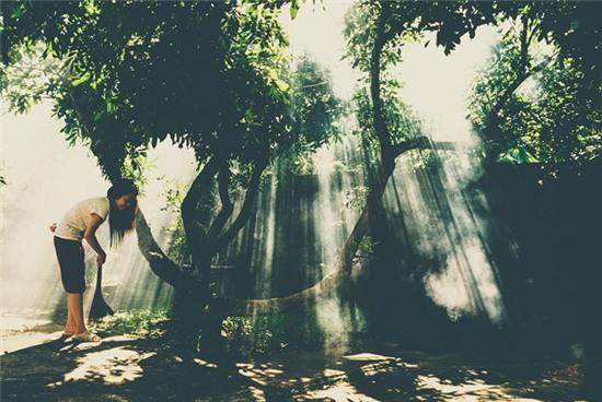 Que lua Viet Nam dep la trong suong som hinh anh 15