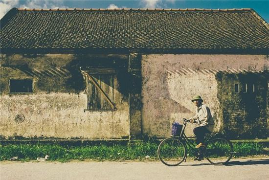 Que lua Viet Nam dep la trong suong som hinh anh 4