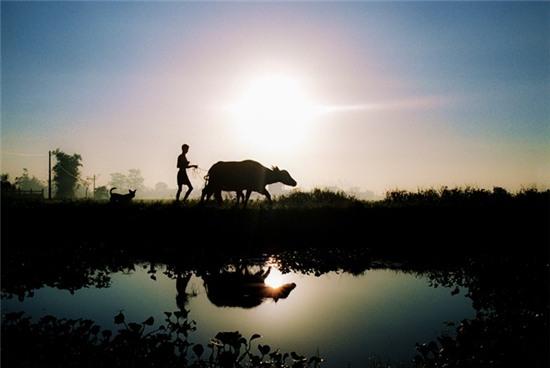 Que lua Viet Nam dep la trong suong som hinh anh 6