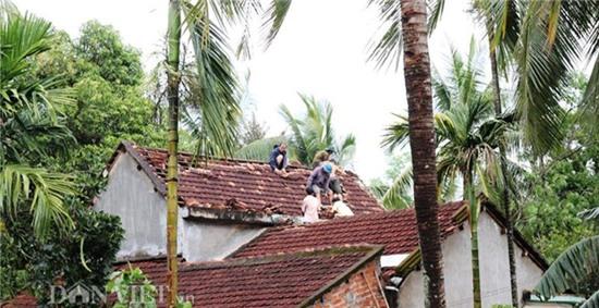 binh dinh: hang tram nha dan, chuong heo toc mai vi loc xoay hinh anh 5