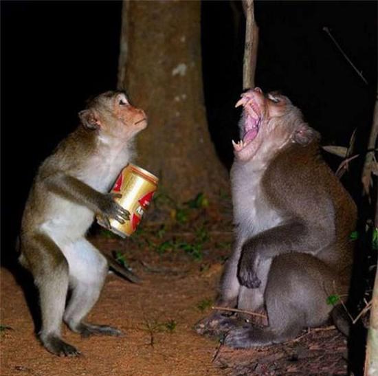 Những hình ảnh lạ lùng không bao giờ trùng