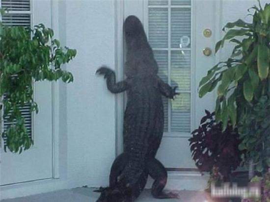 u uoi, chi em co thay... buon cuoi khong? hinh anh 13