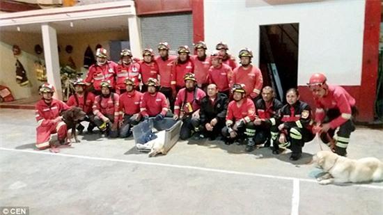 Chú chó gục chết vì kiệt sức tìm kiếm người bị nạn trong trận động đất Ecuador - Ảnh 4.