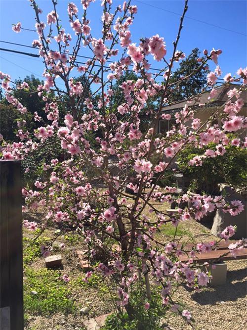 Thương nhớ quê hương, Bằng Kiều đề bảng tên các con phố Hà Nội trong căn nhà tại Mỹ - Ảnh 9.