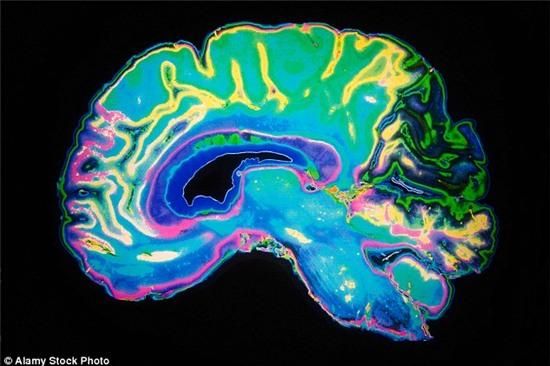 Sắp tới, con người sẽ làm chủ được cả cái chết - Ảnh 3.