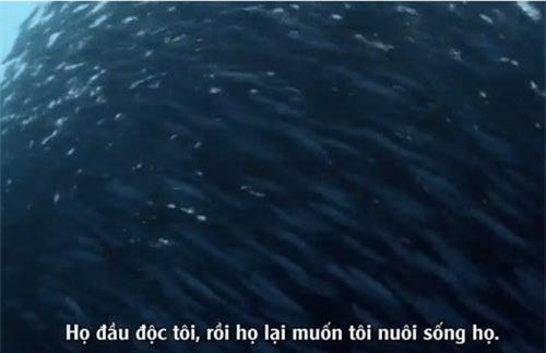 clip “dai duong canh bao con nguoi” gay am anh hinh anh 1