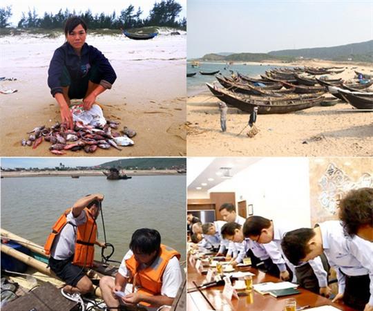 Cá chết hàng loạt: Bộ TN-MT không họp báo như dự kiến