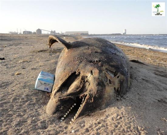 Loạt ảnh chấn động cho thấy đại dương đang trở thành hố rác khổng lồ của nhân loại - Ảnh 35.