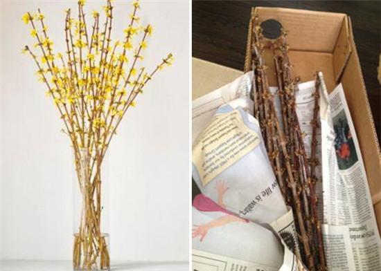 Phụ nữ tuyệt đối không bao giờ được tin: 1 là đàn ông, 2 là quảng cáo - Ảnh 3.