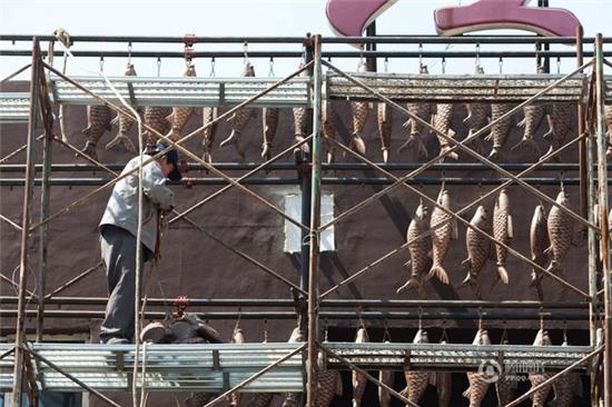 Nhà hàng trưng hẳn 50.000 con cá xung quanh để... phô trương thanh thế - Ảnh 4.