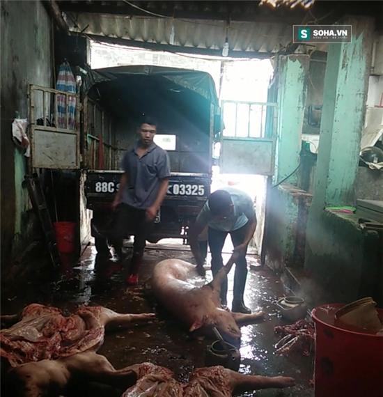 Hai trợ thủ đắc lực của H phanh mổ lợn chết.