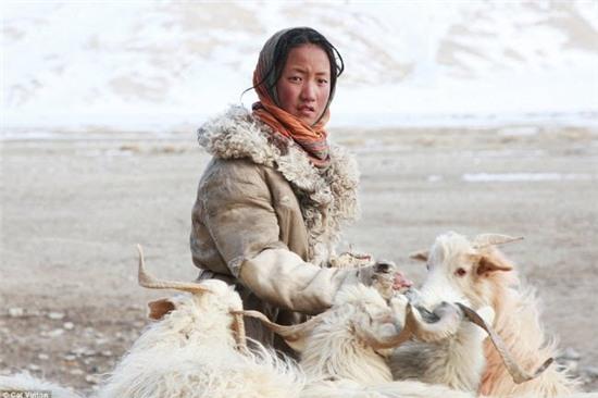 cuoc song nguyen thuy cua bo toc tren dinh himalayas hinh anh 3