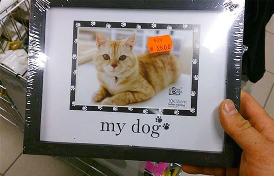 Ảnh vui Đừng tin vào quảng cáo P1