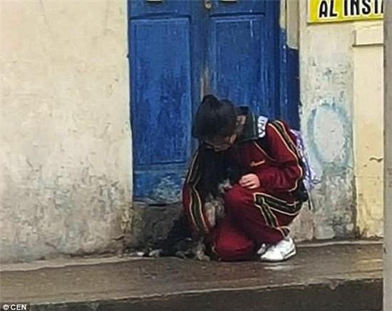 Nữ sinh che mưa cho chó bất ngờ nổi tiếng