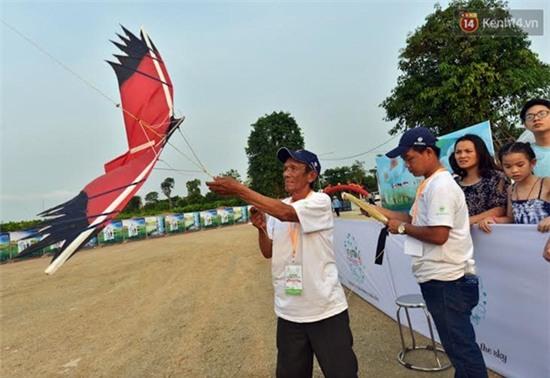 Chiêm ngưỡng những chiếc diều khổng lồ tại Festival diều - 2016 - Ảnh 4.