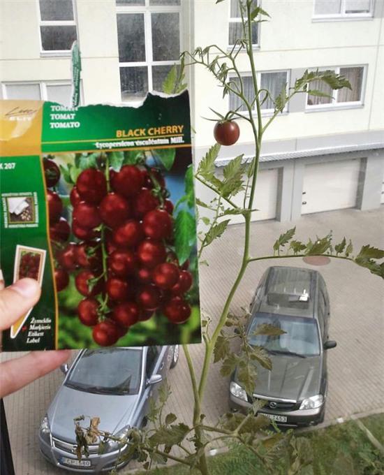 Ảnh vui Đừng tin vào quảng cáo P2