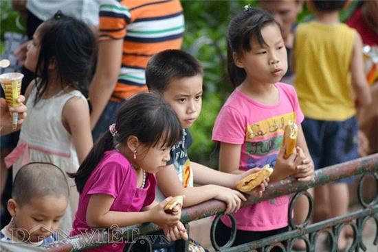 cac cong vien hà nọi chạt kín nguòi, qua tai trong dip nghi le hinh anh 7