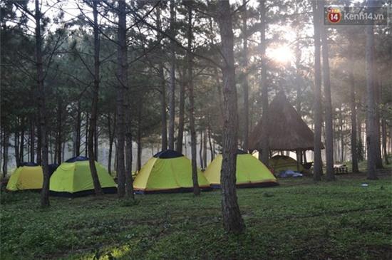 Bị khách sạn hét giá, khách du lịch Đà Lạt chọn tour cắm trại ngoài trời - Ảnh 3.