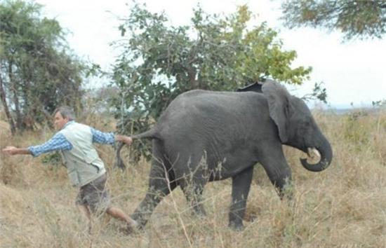 nhung hinh anh ky quac ma co that hinh anh 10