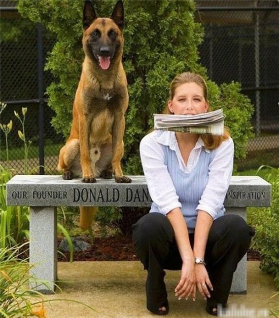 nhung hinh anh ky quac ma co that hinh anh 12