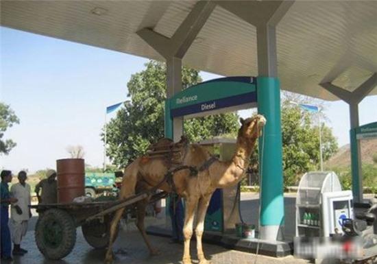 nhung hinh anh ky quac ma co that hinh anh 5