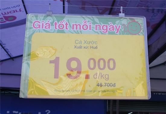 Nguoi Hue phan khoi mua ca bien sach trong ngay dau mo ban hinh anh 6