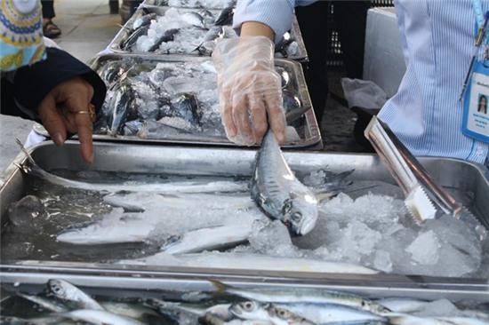 Nguoi Hue phan khoi mua ca bien sach trong ngay dau mo ban hinh anh 9