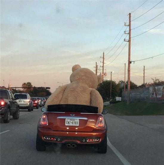 nhung khoanh khac "kho thay" lan hai hinh anh 15