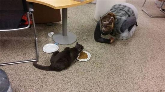 nhung khoanh khac "kho thay" lan hai hinh anh 6