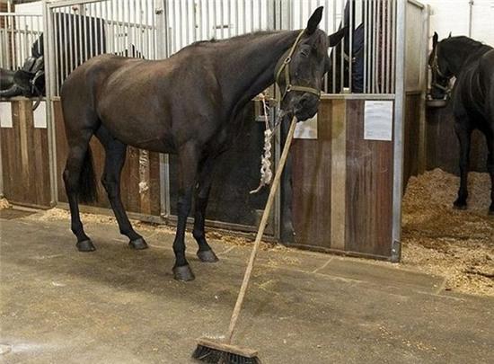 ngay moi voi nhung buc anh khien ban "cuoi nhu duoi uoi" hinh anh 2