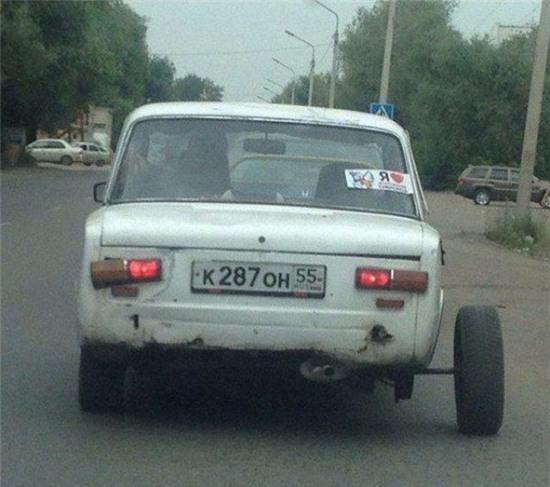 ngay moi voi nhung buc anh khien ban "cuoi nhu duoi uoi" hinh anh 12