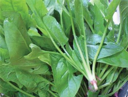 chống thiếu máu