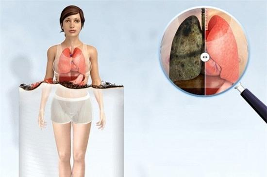 Hut thuoc la anh huong den co the nhu the nao? hinh anh 8