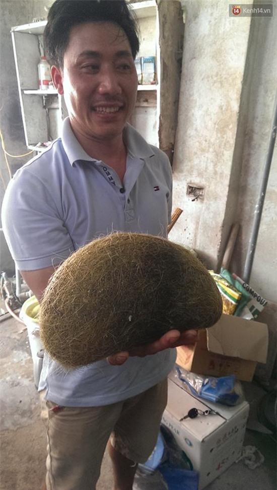 Hà Nội: Mổ heo ăn giỗ, phát hiện cát lợn khủng 2,8kg - Ảnh 2.
