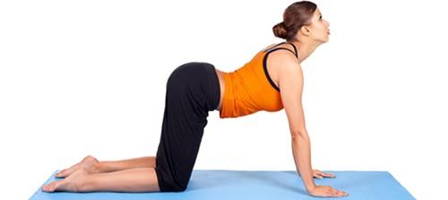 11 bài tập yoga giúp bạn có dáng đẹp như mơ - 8