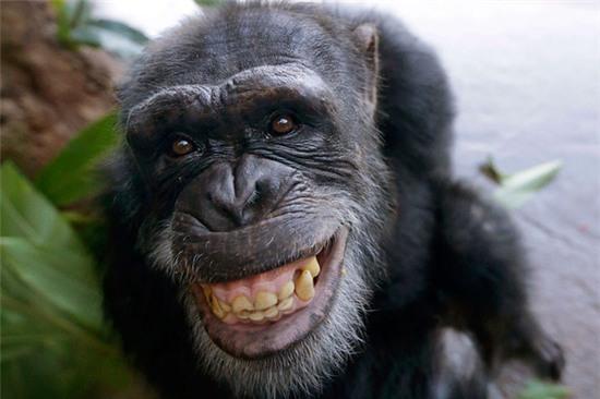 Đừng sốc khi biết sự thật này: Quá nửa cơ thể của chúng ta giống hệt... con ruồi và quả chuối - Ảnh 2.