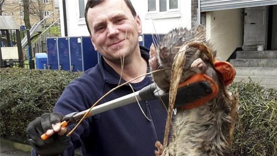 Đừng sốc khi biết sự thật này: Quá nửa cơ thể của chúng ta giống hệt... con ruồi và quả chuối - Ảnh 4.