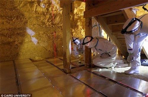 tiet lo bi an ve phan loi ma quai cua cac kim tu thap ai cap hinh anh 3